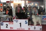 3ème Best in show Baby Pau 2015